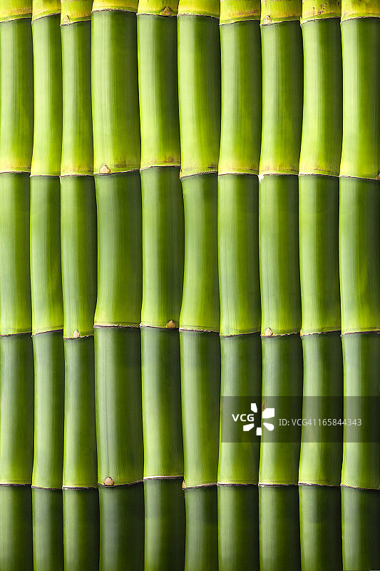 自然竹子无缝墙面图案图片素材