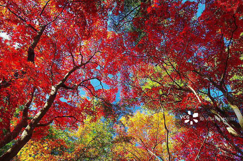 柏崎松云山庄图片素材