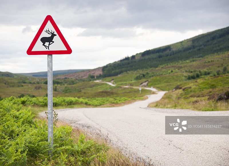 乡村道路上的鹿警告标志图片素材