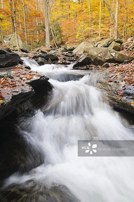 秋日森林中的小瀑布图片素材