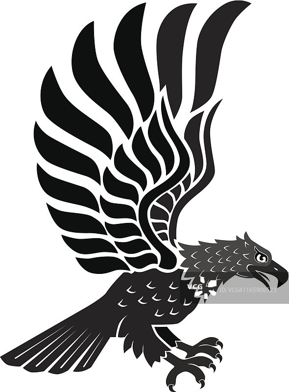 老鹰攻击图片素材