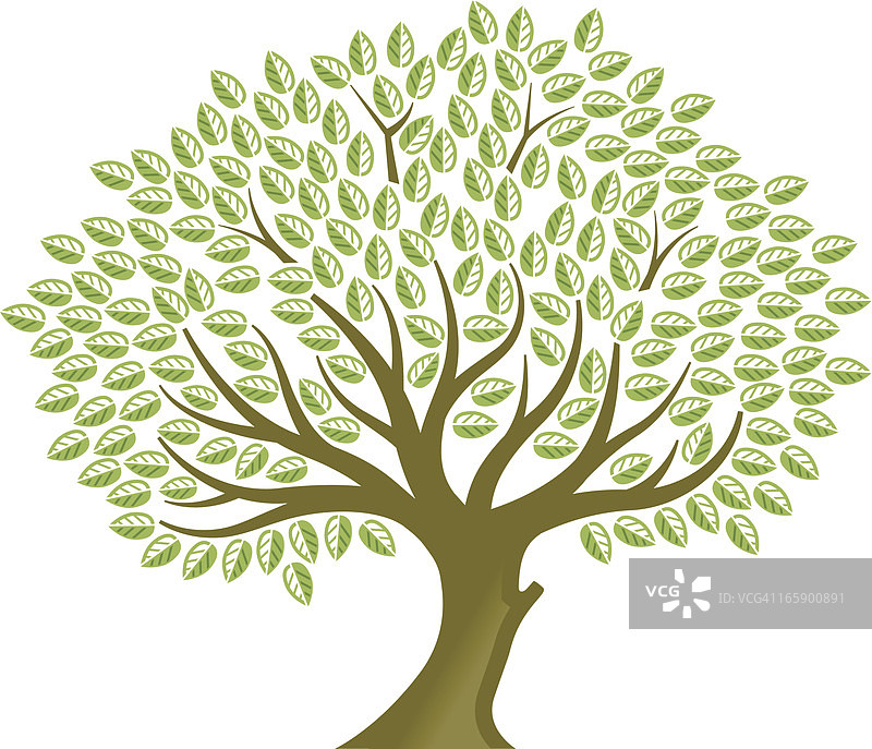 棵大树图片素材