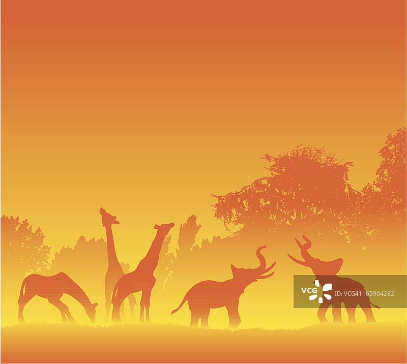 炎热剪影中的非洲动物图片素材