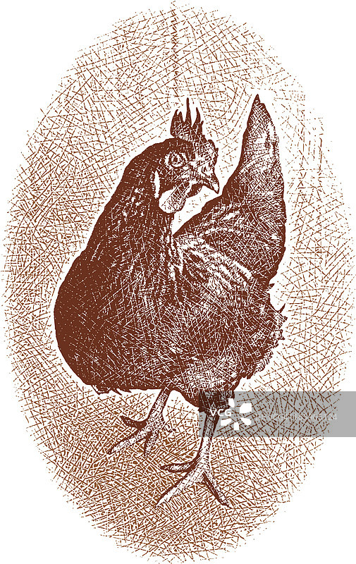 公鸡设计元素图片素材