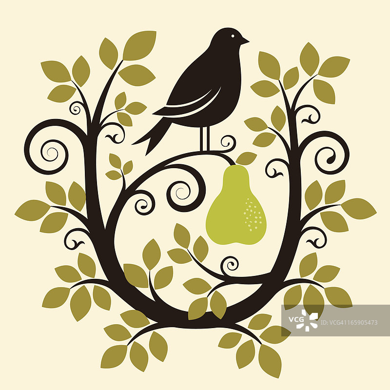 梨树上的鹧鸪图片素材