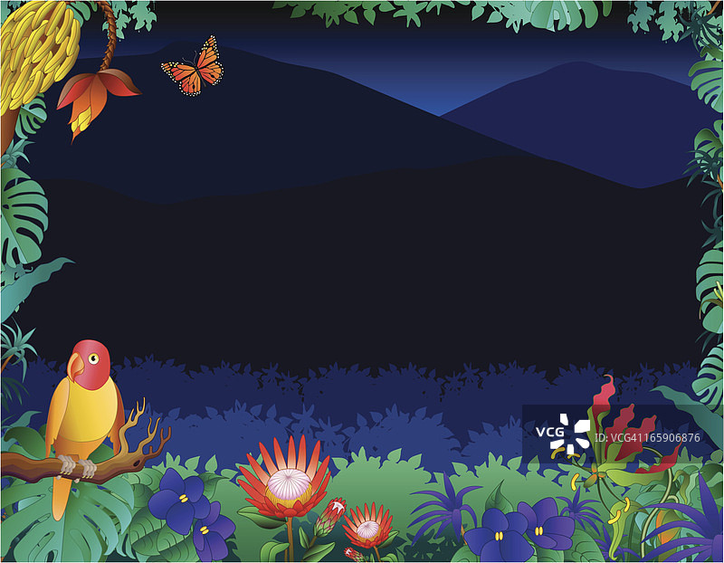 带文案空间的热带丛林框架图片素材