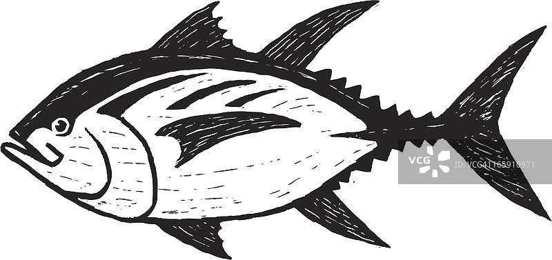 手绘风格金枪鱼图片素材