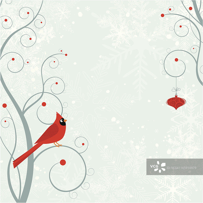 圣诞红雀图片素材