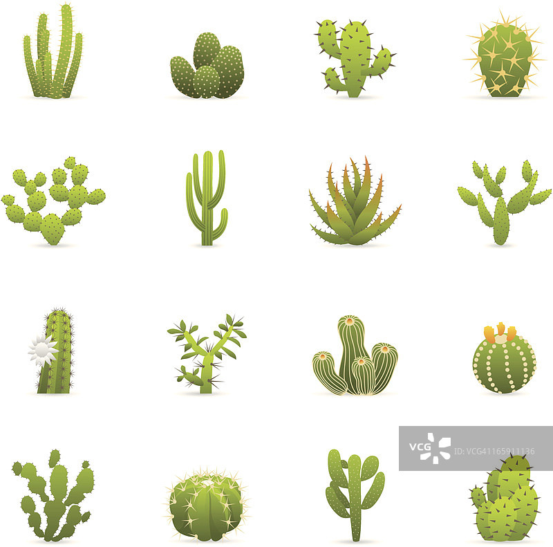 彩色图标 - 仙人掌图片素材