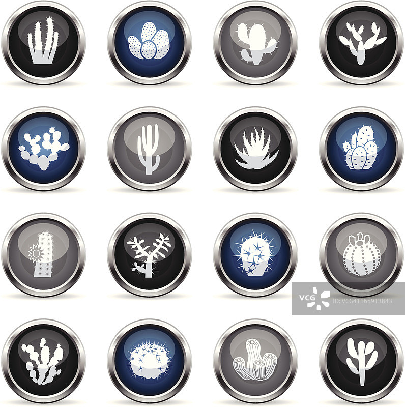 超级光面图标 - 仙人掌图片素材