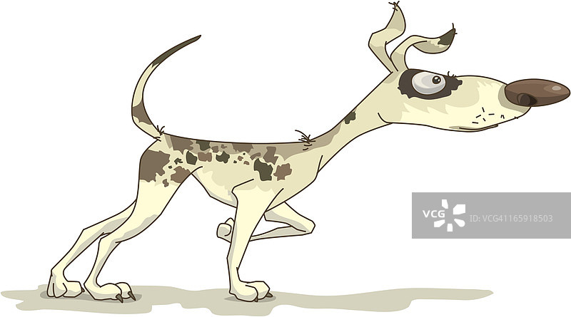 不好看的狗图片素材