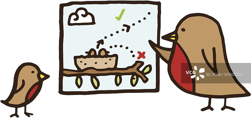 小鸟教雏鸟如何飞行图片素材