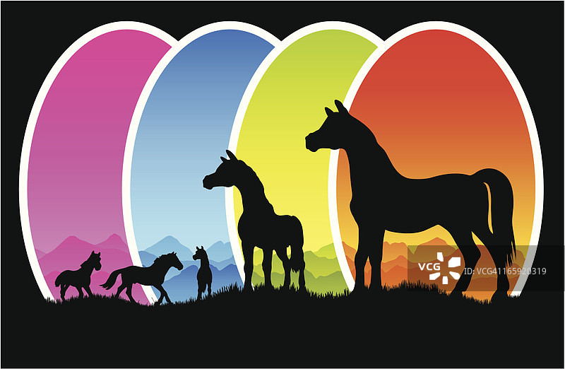 旷野上马群的剪影图片素材