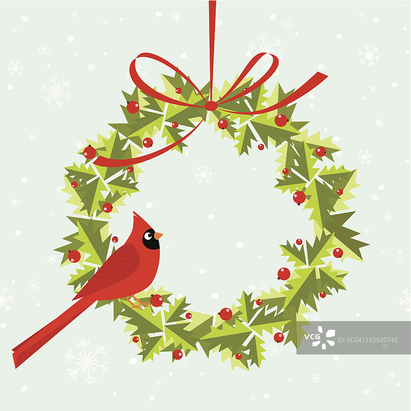 冬青花环上的北美红雀图片素材