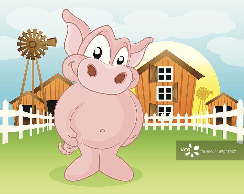 农场里的猪图片素材