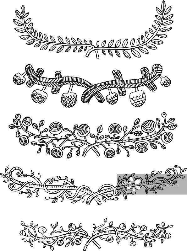 手绘月桂花环、卷轴和页面分隔线图片素材