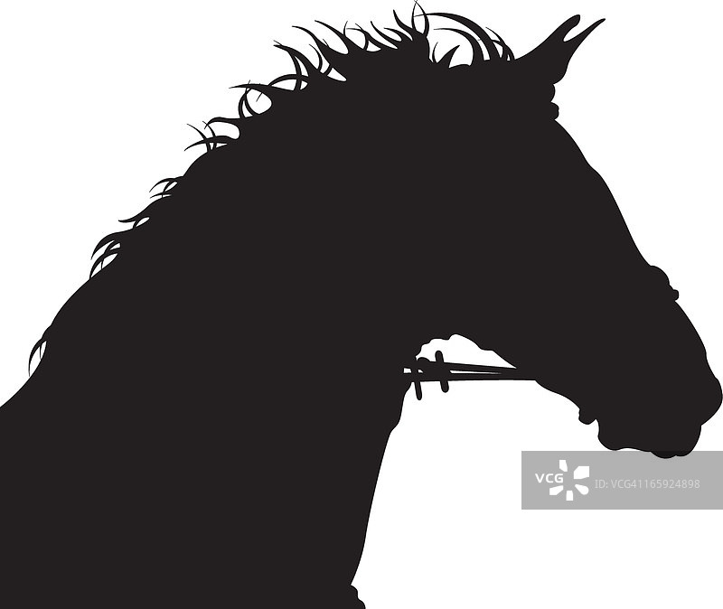马头轮廓图片素材