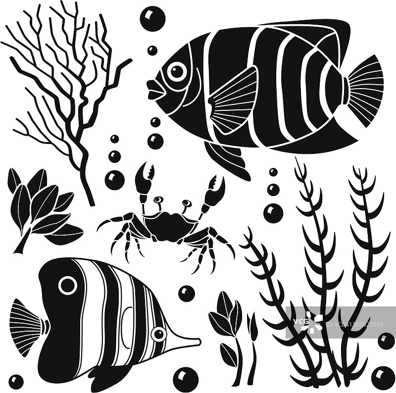 海洋生物设计元素图片素材