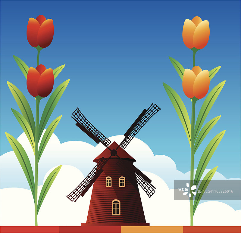 郁金香与风车图片素材