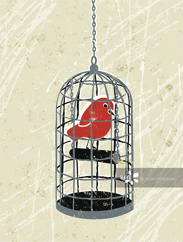 困在鸟笼中的鸟图片素材