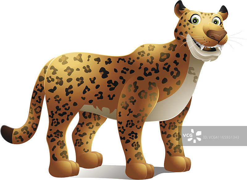 豹图片素材