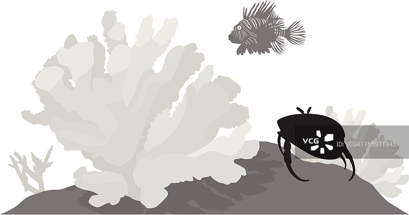 螃蟹珊瑚矢量剪影图片素材