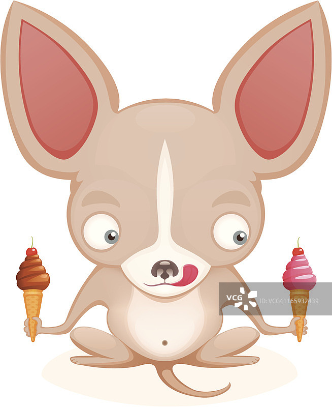 吃冰淇淋的吉娃娃犬图片素材