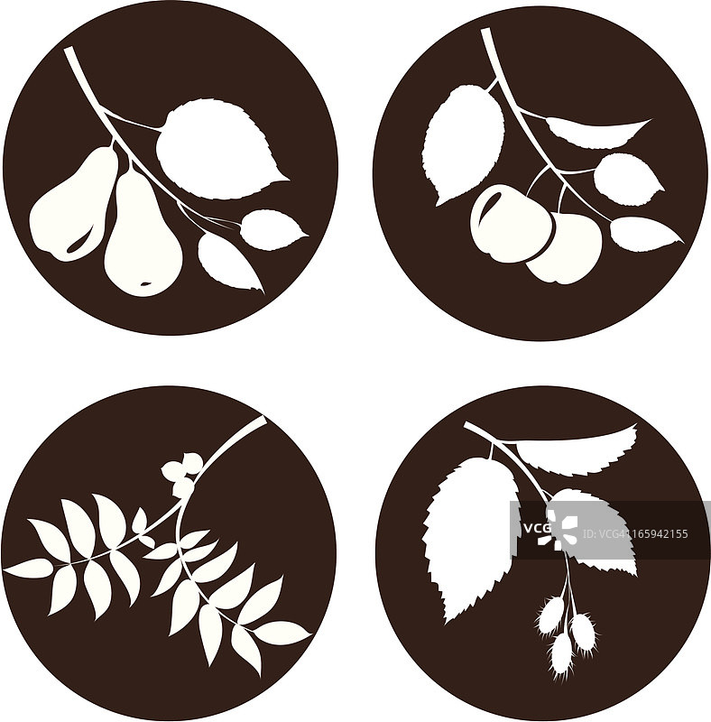 结果的树枝图片素材