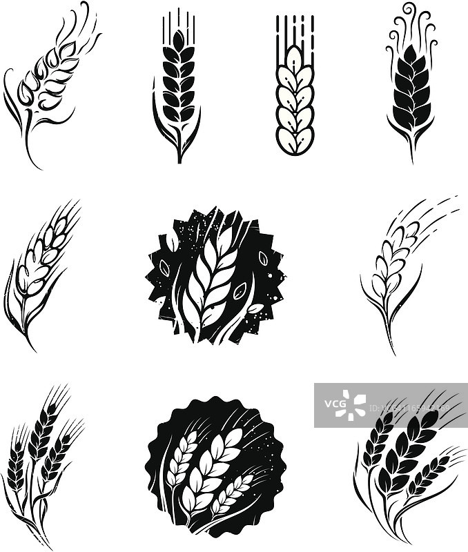 小麦图片素材