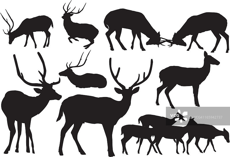 鹿矢量素材图片素材