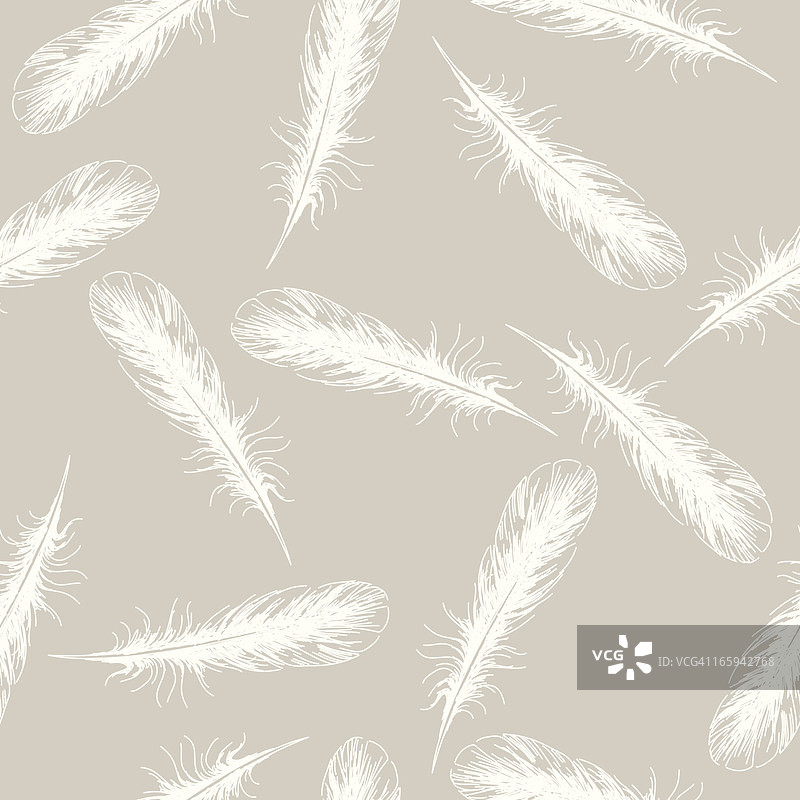 手绘海鸥羽毛图案图片素材