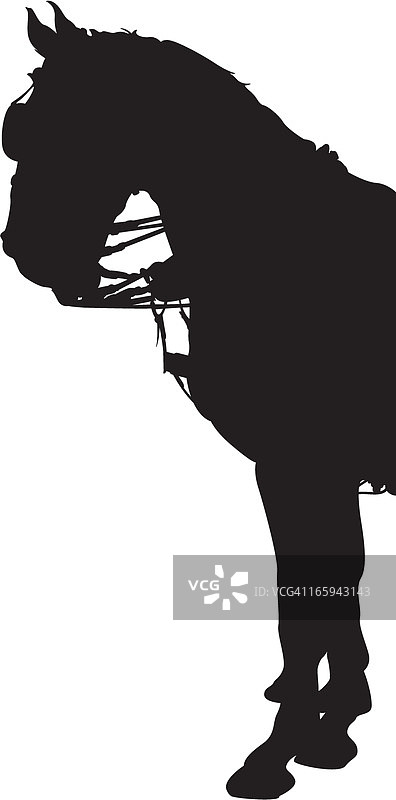 马匹轮廓剪影图片素材