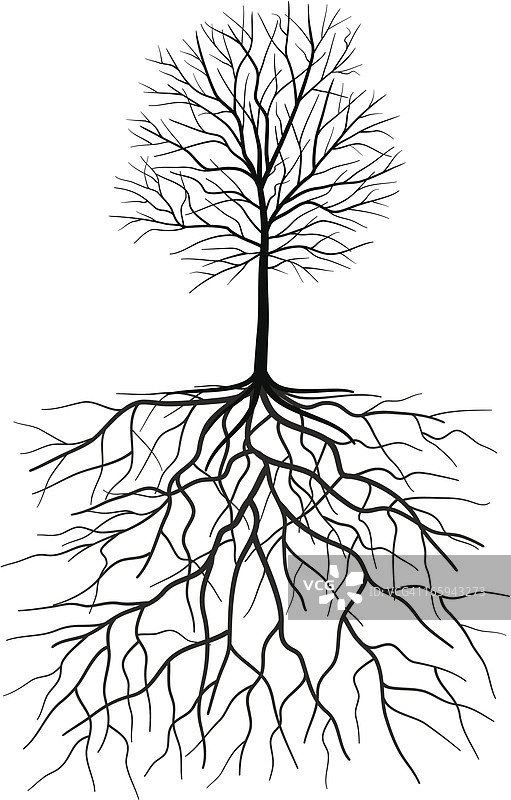 带树根插图的裸树轮廓图片素材