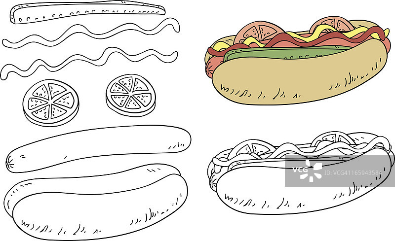 线条艺术风格的热狗配料图片素材