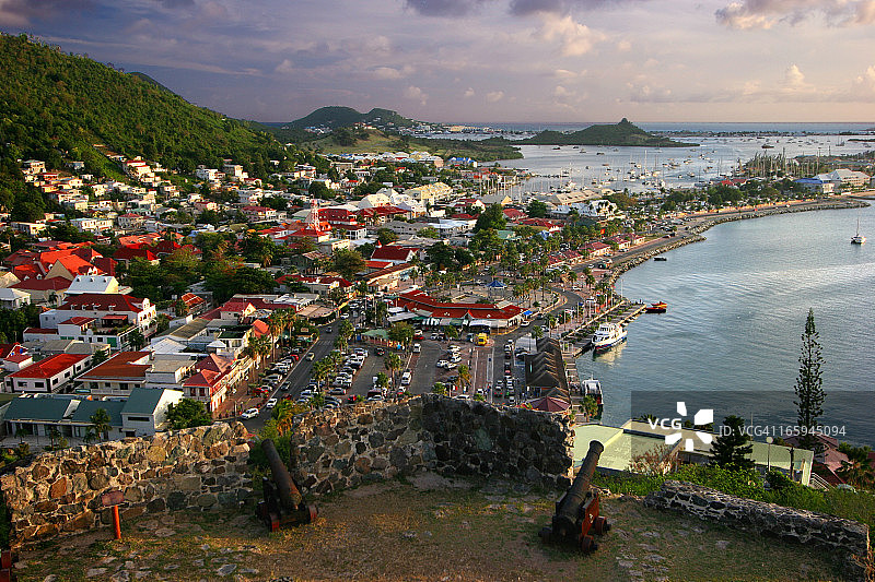 万寿菊图片素材