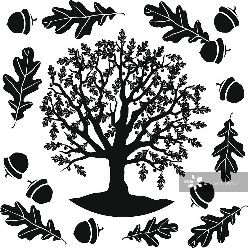 黑白橡树图片素材