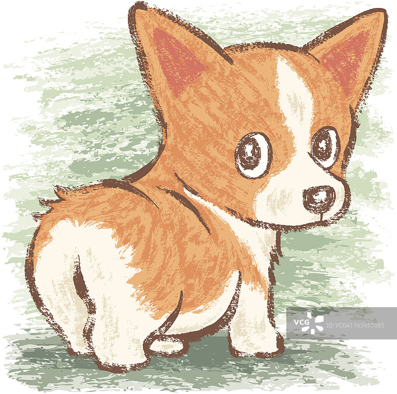 威尔士柯基犬图片素材