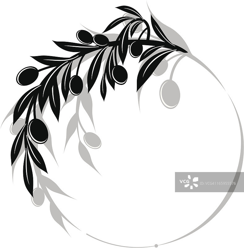 橄榄枝涡旋设计元素图片素材