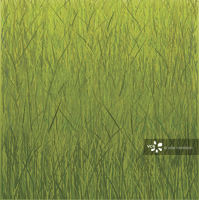 草地的背景图片素材