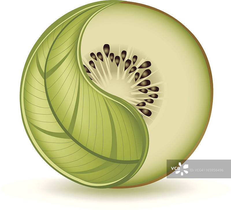 猕猴桃图片素材