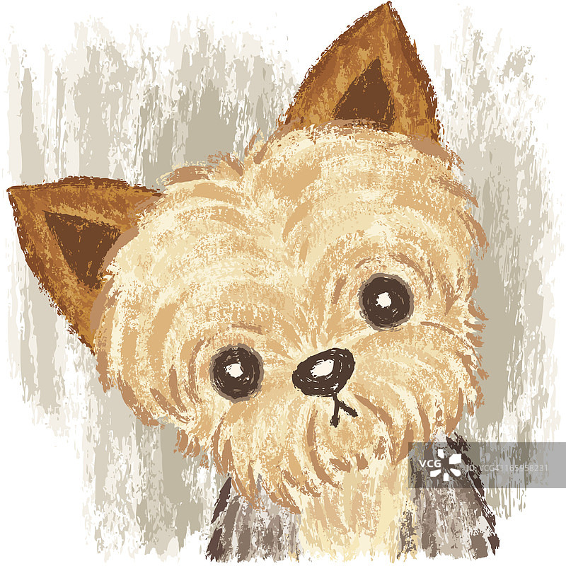 约克夏梗犬肖像图片素材