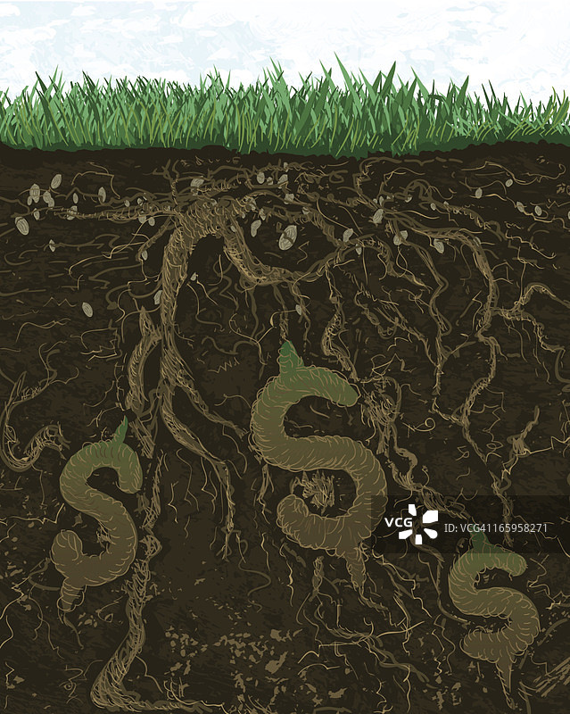 金融发展的概念图片素材