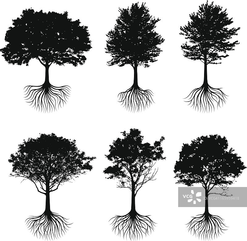 树根剪影黑白矢量图标集图片素材