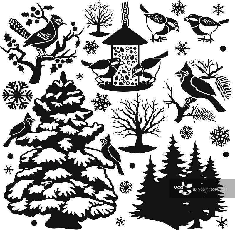 冬季鸟类设计元素图片素材