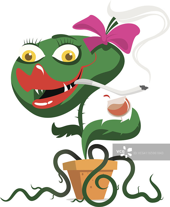 食肉植物图片素材