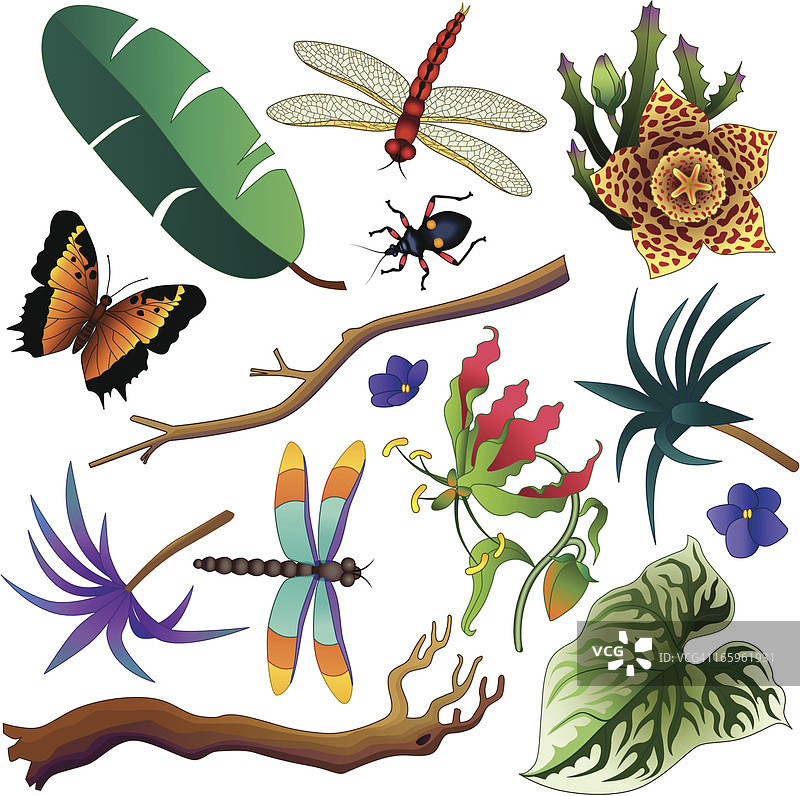 热带丛林设计元素图片素材