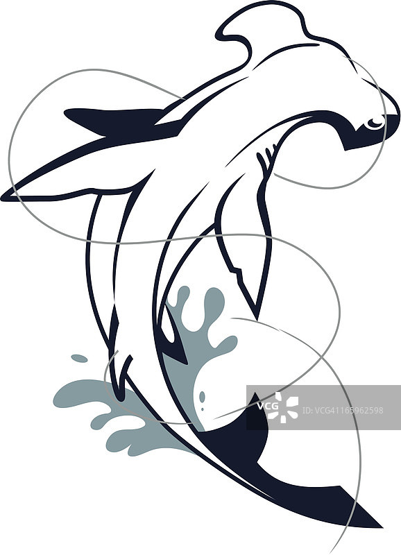 锤头鲨图片素材