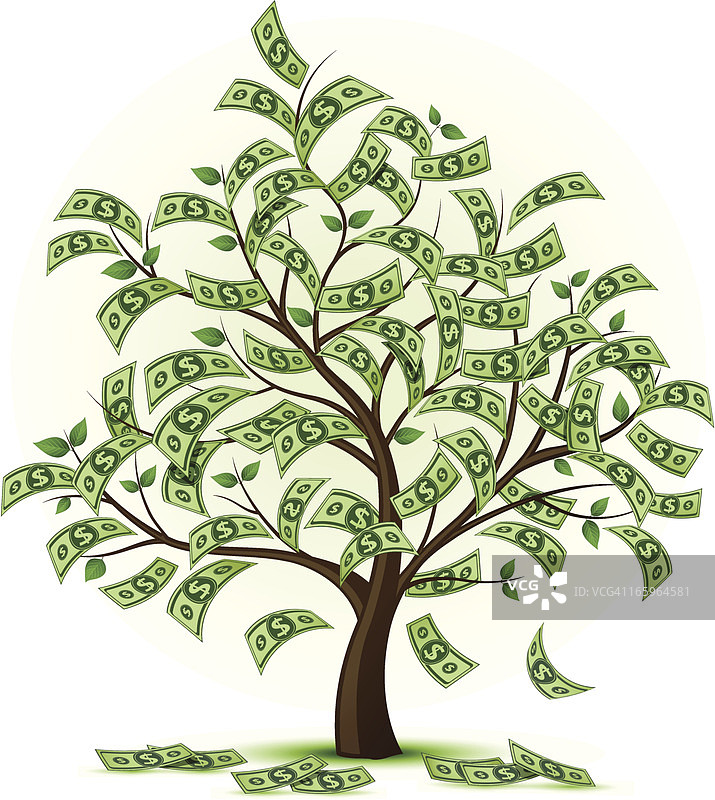 金钱树图片素材