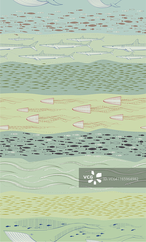 彩色海洋生物壁纸图片素材