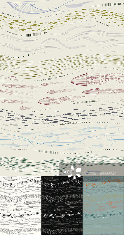 海洋生物壁纸图片素材